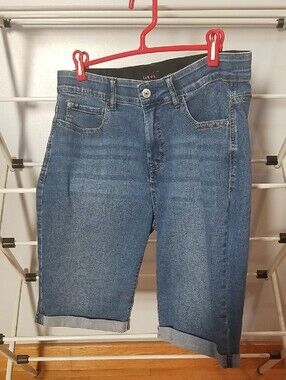 Curve Appeal Blue Denim Shorts